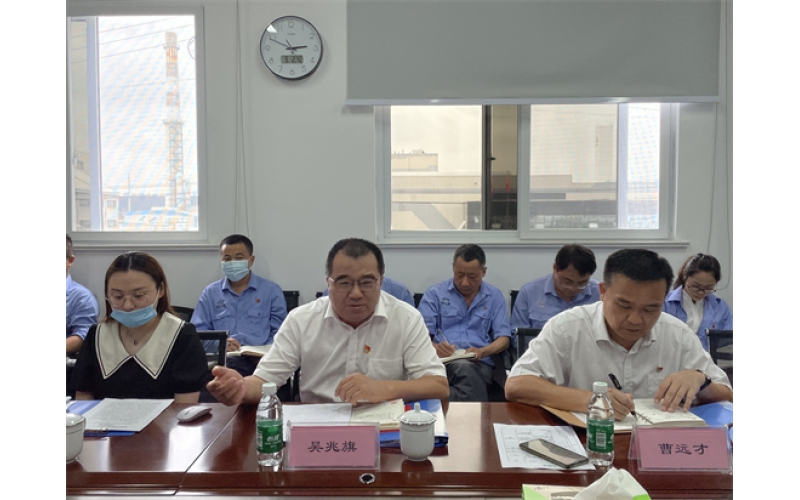 海南控股直属机关党委副书记吴兆旗同志到游艇会yth206调研检查“6+1”事情