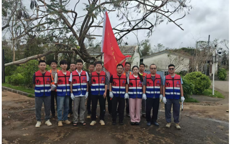 党旗飘扬战风雨，，先锋引领促复工——三鑫晶品党员先锋队助力在建项目复工复产